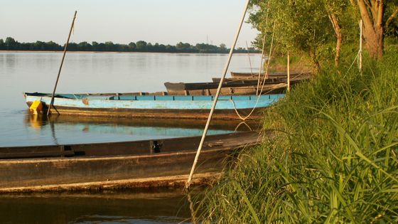 Loire - Les-Garennes-sur-Loire