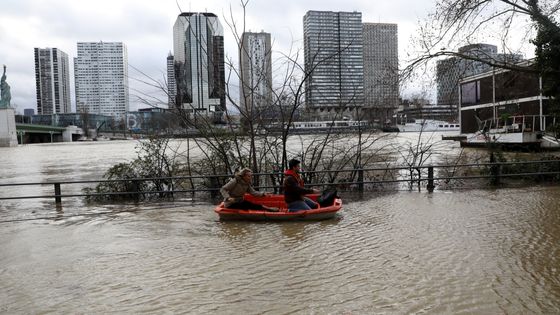 la Seine en crue (24/01/2018) ©AFP - LUDOVIC MARIN