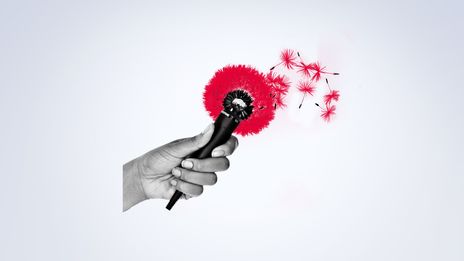chronique de Thierry Lhermitte