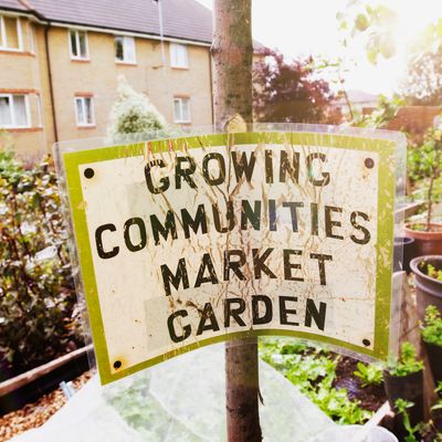 Un jardin communautaire urbain à Londres