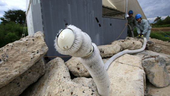 Démonstration d'un robot-serpent au Japon. ©AFP - Hiroto Sekiguchi / Yomiuri / The Yomiuri Shimbun