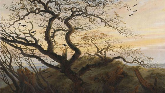 L'arbre aux corbeaux, peinture de Caspar David Friedrich (détail) ©Getty - Fine Art Images/Heritage Images