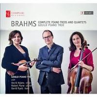 Sextuor à cordes n°2 en Sol Maj op 36 : 1. Allegro non troppo - réduction pour violon violoncelle et piano