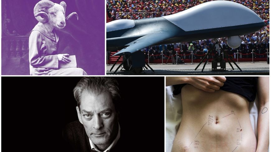 Animaux, robots, endométriose et Paul Auster : la Session de rattrapage