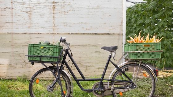 L'association Biocycle prend en charge les invendus des professionnels de l’alimentation : commerces, restaurants, cantines… Une fois les dons collectés, ils les livrent à vélo pour les redistribuer auprès des associations caritatives. ©Getty - Zero Creatives