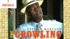 The Growling Tiger Of Calypso