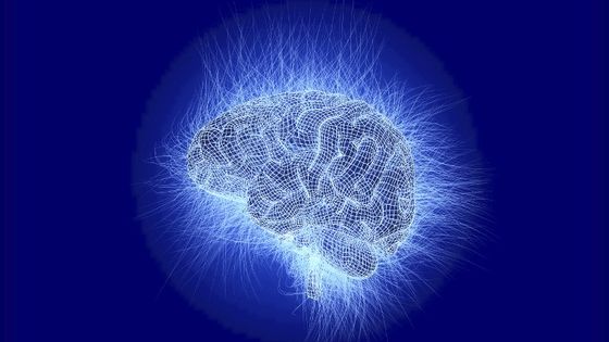 erveau artificiel. Illustration conceptuelle par ordinateur. ©AFP - ROGER HARRIS / SCIENCE PHOTO LIBRA / RHR / Science Photo Library