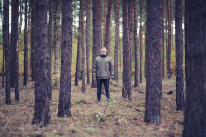 Prendre des "bains de forêt" serait une solution pour booster sa santé Prendre des "bains de forêt" serait une solution pour booster sa santé