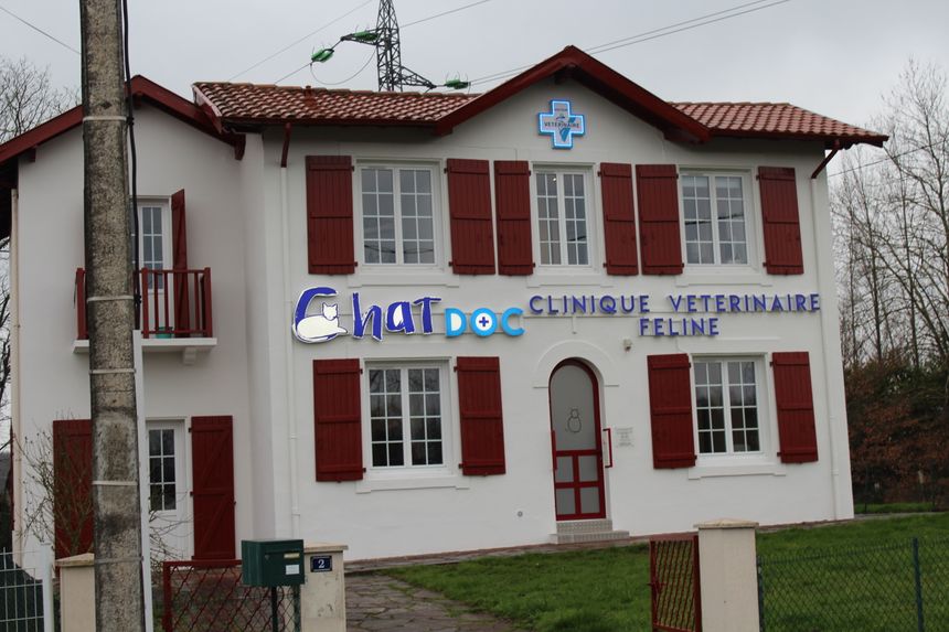 Portrait De La Creatrice D Une Clinique Feline A Bayonne Portrait De La Creatrice D Une Clinique Feline A Bayonne