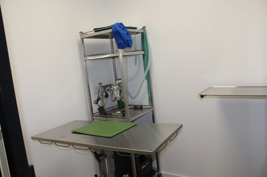 Visite De La Clinique Des Chats A Bayonne Visite De La Clinique Des Chats A Bayonne