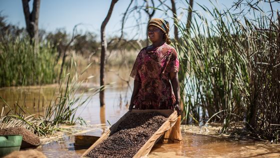 Une femme trie la terre remplie de cobalt extraite de la mine de Lubumbashi, en République Démocratique du Congo ©AFP - FEDERICO SCOPPA