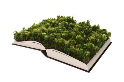 Plus de 140 millions de livres finiraient chaque année au pilon Plus de 140 millions de livres finiraient chaque année au pilon