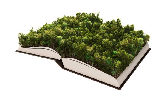 Plus de 140 millions de livres finiraient chaque année au pilon ©Getty - leonard_c