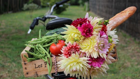 Des fleurs produites localement livrées à vélo ©Radio France - Emmanuel Moreau
