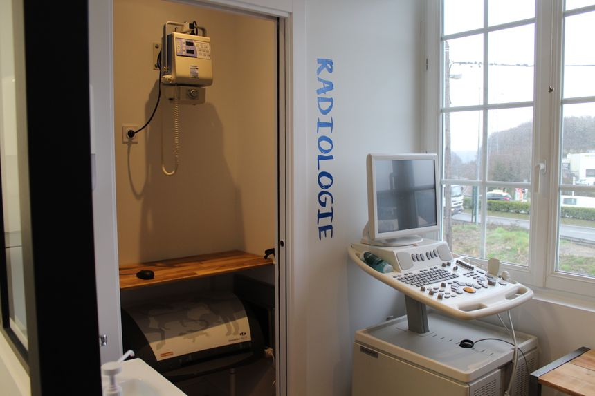 Visite De La Clinique Des Chats A Bayonne Visite De La Clinique Des Chats A Bayonne