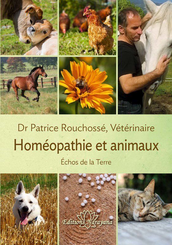 Homéopathie et animaux
