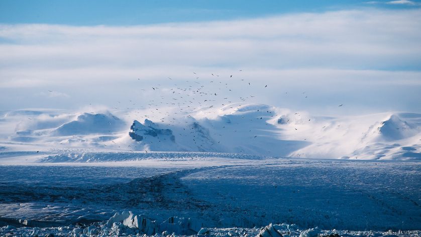 Un glacier.