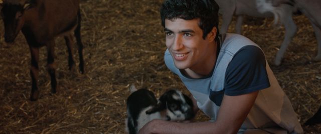 Mektoub, my love : canto uno d’Abdellatif Kechiche
