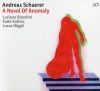 « A Novel Of Anomaly »