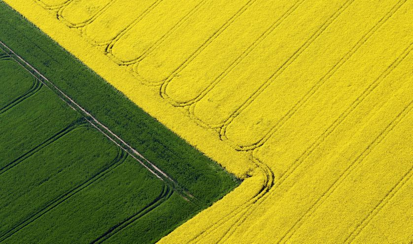 drone agricole