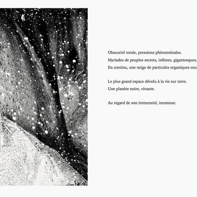 "La planète noire", Ebook publié dans la collection « Libre Cours » des Editions Tribew - Prix Catégorie Dessin du Concours Tribew - La Maison des Artistes 2017