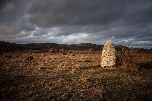Le plateau du Larzac
