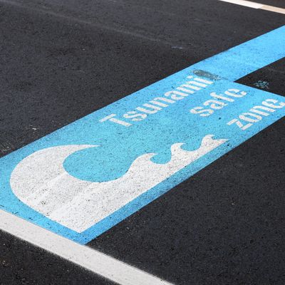Tsunami, Nouvelle Zélande, Novembre 2016