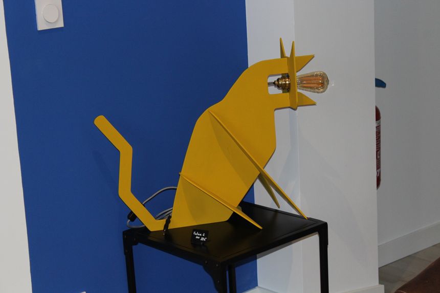 Visite De La Clinique Des Chats A Bayonne Visite De La Clinique Des Chats A Bayonne