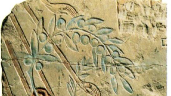 Akhénaton présentant une branche d'olivier à Aton. Coll. Schimel. Fresque présentée par Jean-Pierre Brun au Collège de France - Schimel/Collège de France
