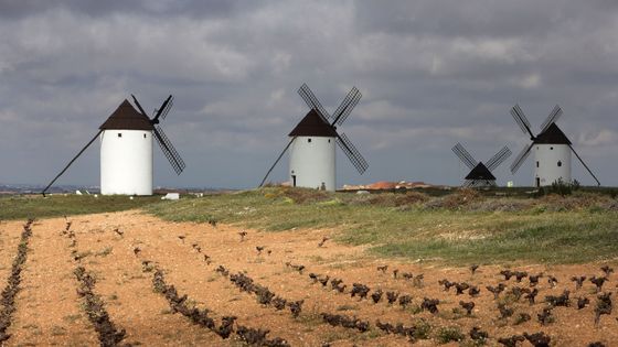 Les Moulins de Mota del Cuervo à Castille-La Manche, en Espagne, immortalisés par Miguel Cervantes dans Don Quichotte ©AFP - Manuel Cohen