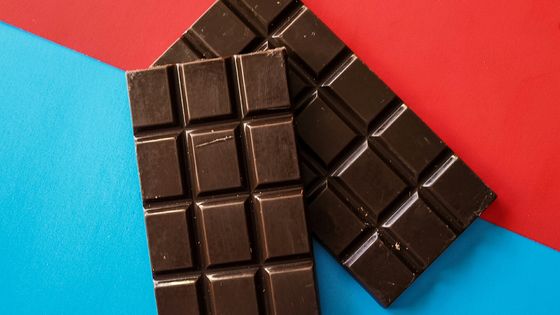Comment généraliser un problème particulier tout en le simplifiant? Armand, le personnage principal du roman "Le spectre d'Atacama" nous donne un avant-goût des maths grâce à une tablette de chocolat ©Getty - Reese Lassman / EyeEm