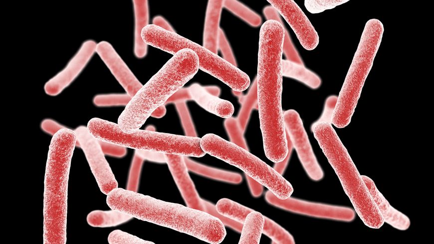 trop d'antibiotiques augmentent la résistance des bactéries