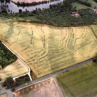 Photographie aérienne du site néolithique de Balzac, Les Coteaux de Coursac (Charente)