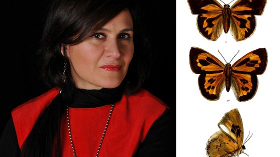 Lara Mociano par Luc Hossepied et papillon Liphyra brassolis