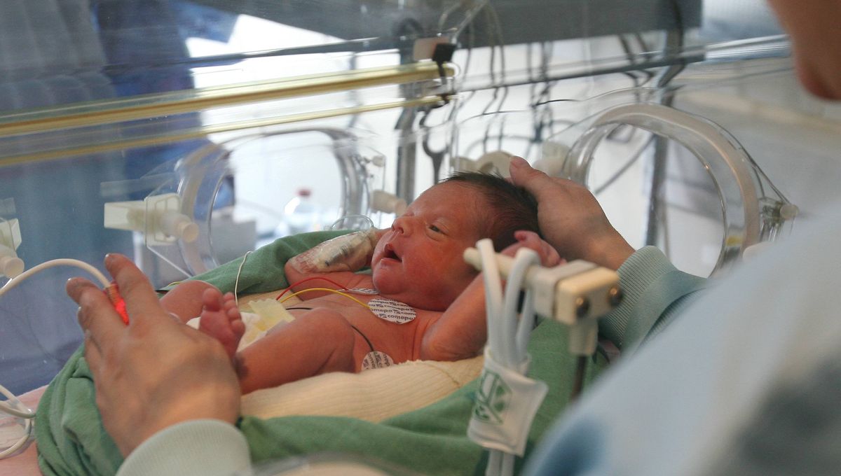 Des Parents D Enfants Prematures Prives De Logement A L Hopital Nord De Marseille