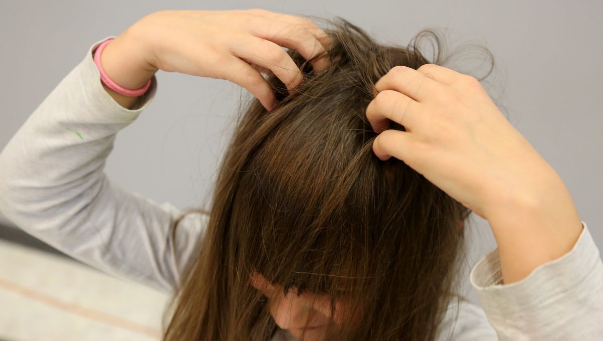 Les Questions Que L On Se Pose Sur Les Poux