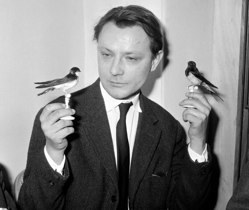 Roland Dubillard, lauréat du prix des "U" pour sa pièce "Naïves Hirondelles", tenant deux hirondelles, 9 janvier 1962.