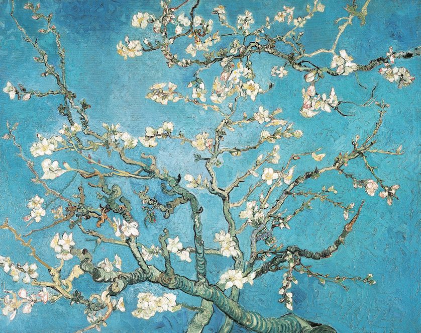 Almond branches in bloom, 1890, par Vincent van Gogh