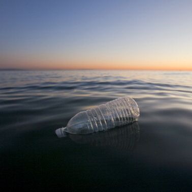 Une bouteille de plastique flottant dans l'Océan Pacifique à Santa Monica (Californie/USA)