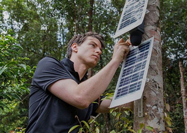 Les smartphones positionnés sur les arbres sont alimentés par des panneaux solaires