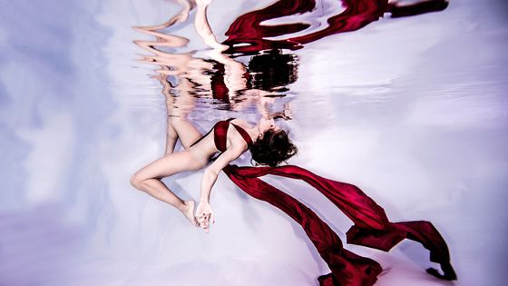 ' ©AFP - Ken Kiefer 2 / Cultura Creative