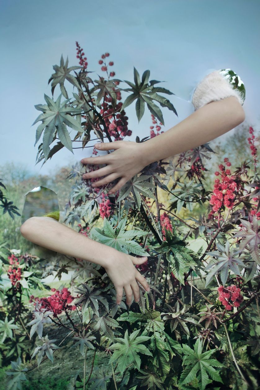 Sequences of truth and deception © Vanja Bucan