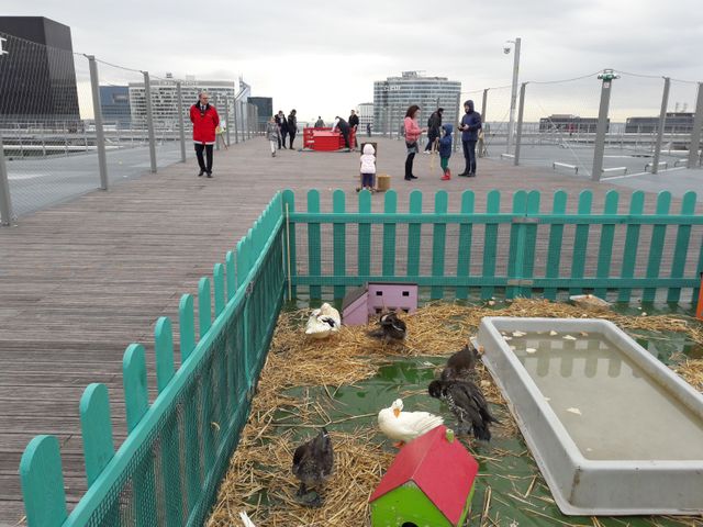 La Grande Arche de la Défense accueille des animaux de la ferme pour Pâques