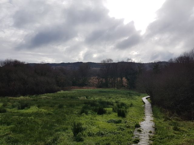 Sur les bords du fleuve Elorn dans les Monts d'Arrée