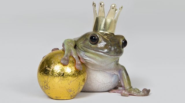 Un jour mon prince...