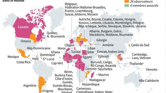 Carte mondiale des membres, observateurs et membres associés à l'Organisation internationale de la francophonie ©AFP - Vincent LEFAI, Sophie RAMIS