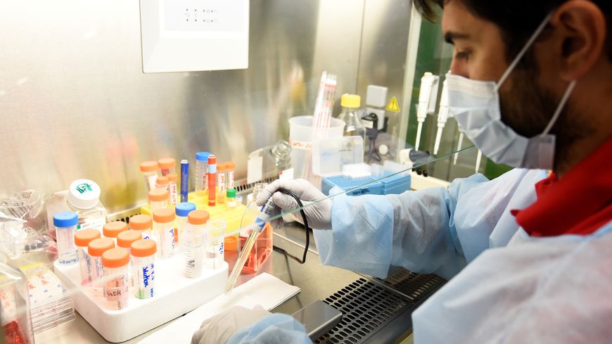 Un scientifique travaillant dans un laboratoire de l'Institut Pasteur, le 21 juillet 2017.