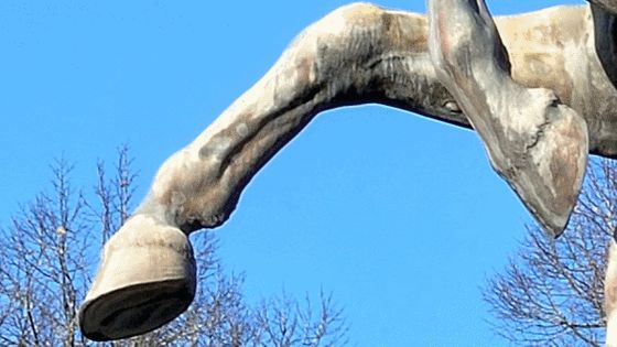 Statue cheval