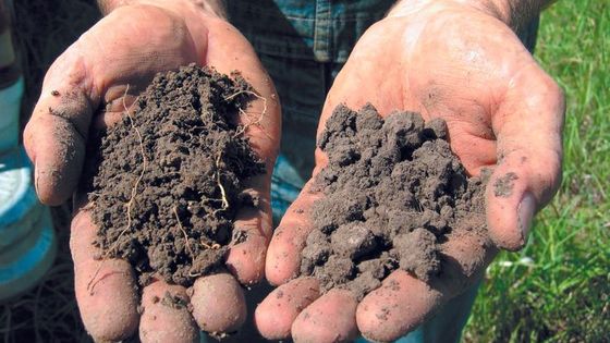 On a 20 ans pour changer le monde" d'Hélène Médigue - Paname Distribution