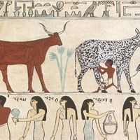 La domestication, conjointement à l’agriculture, est à l’origine de la civilisation